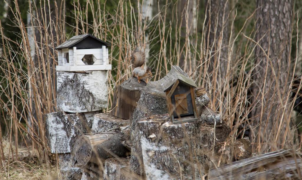 Holiday Home In Kuusankoski 外观 照片